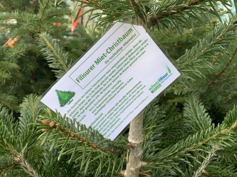 Weihnachtsbaum mieten BachserMärt